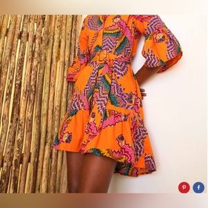 Farm Rio Macaw dress